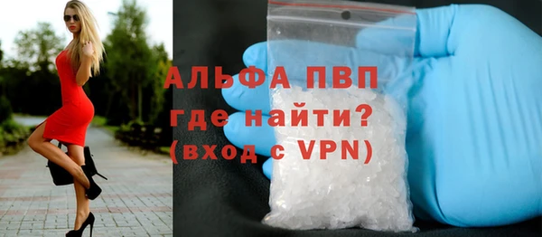крисы Вязьма