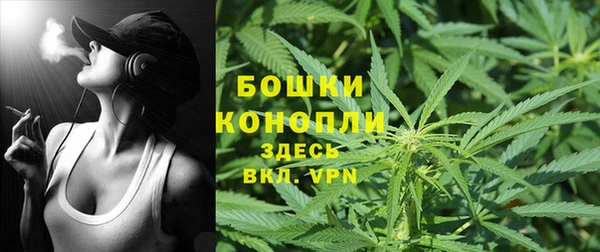 спайс Белокуриха